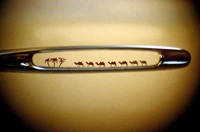Camel in nail hole